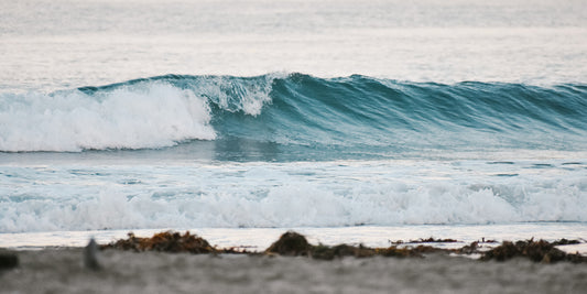 Essential Sneakers That Go With Every Outfit